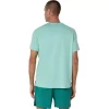 ASICS SILVER SHORT SLEEVE TOP ASICS SILVER SHORT SLEEVE TOP