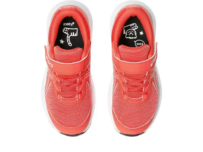 CONTEND 9 PRE-SCHOOL CONTEND 9 PRE-SCHOOL