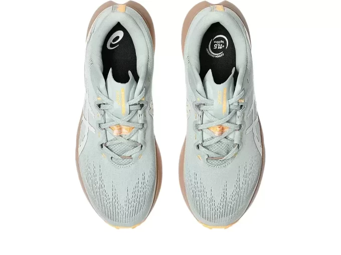 Fuji Lite 6 Fuji Lite 6