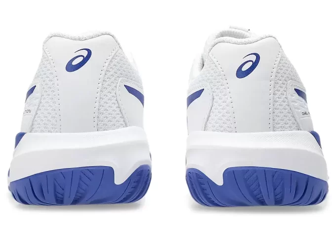 GEL-RESOLUTION X GRADE SCHOOL GEL-RESOLUTION X GRADE SCHOOL