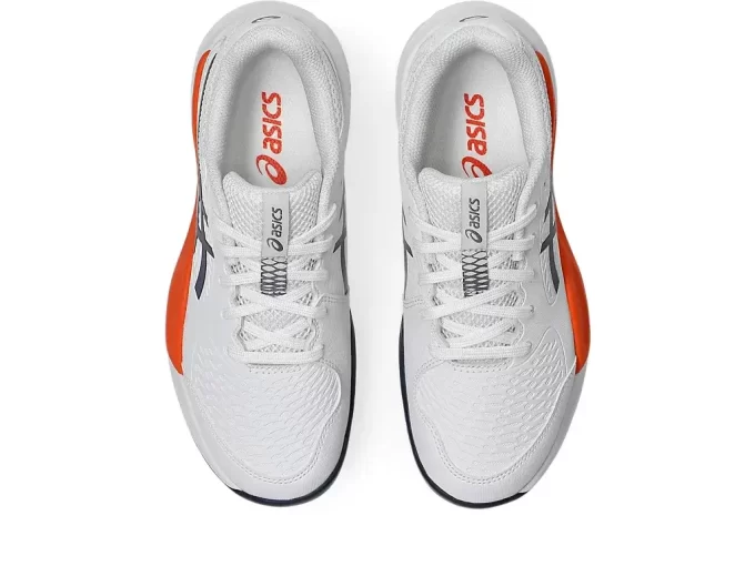 GEL-RESOLUTION X GRADE SCHOOL GEL-RESOLUTION X GRADE SCHOOL