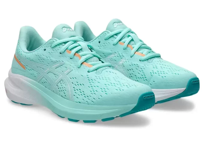 GT-1000 13 GRADE SCHOOL GT-1000 13 GRADE SCHOOL