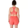 ROAD COMPRESSION BRA ROAD COMPRESSION BRA